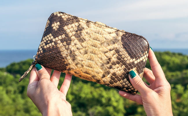 Amazon Wardrobe Refresh Sale 2020: Buy These Women's Wallets Under Rs 500