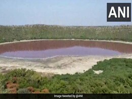 Lonar Lake Turned Pink Overnight In Maharashtra. What Caused It Lonar Lake Turned Pink Overnight In Maharashtra. What Caused It