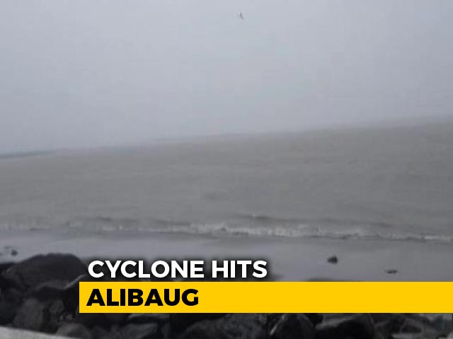 Trees Uprooted, Mobile Networks Hit After Cyclone Nisarga