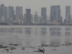Keep Mobile Phones Charged, Switch Off Gas Supply: Tips for Mumbai
