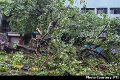 Mumbai May Have Escaped Worst Of Cyclone Nisarga, Wind Speed Slows Down Mumbai May Have Escaped Worst Of Cyclone Nisarga, Wind Speed Slows Down