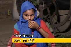 तमिलनाडु से उत्तर प्रदेश लौटी राजकुमारी ने कहा- अब हम वापस नहीं जाएंगे तमिलनाडु से उत्तर प्रदेश लौटी राजकुमारी ने कहा- अब हम वापस नहीं जाएंगे