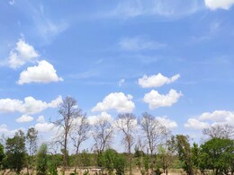 Weather Update: अल नीनो के जुलाई में लौटने की संभावना, वैश्विक मौसम पर पड़ सकता है असर Weather Update: अल नीनो के जुलाई में लौटने की संभावना, वैश्विक मौसम पर पड़ सकता है असर