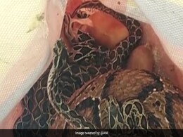 कई दिनों से बाथरूम में छिपा था जहरीला सांप, 35 बच्चों को दिया जन्म कई दिनों से बाथरूम में छिपा था जहरीला सांप, 35 बच्चों को दिया जन्म