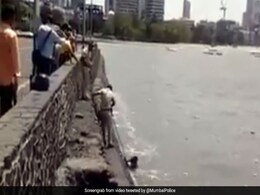 VIDEO: समुंदर में डूब रहे शख्स को मुंबई पुलिस के जवानों ने ऐसे बचाया, लोगों ने बजाईं तालियां VIDEO: समुंदर में डूब रहे शख्स को मुंबई पुलिस के जवानों ने ऐसे बचाया, लोगों ने बजाईं तालियां