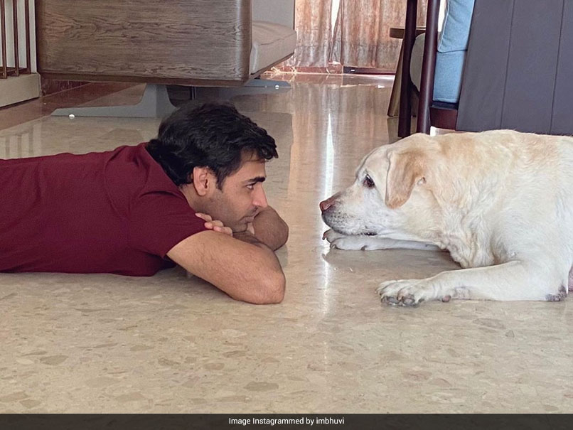 "Buddies For Life": Bhuvneshwar Kumar Shares Adorable Pictures With His Dog