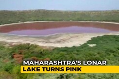 A Lonar Lake Turned Pink Overnight In Maharashtra. What Caused It A Lonar Lake Turned Pink Overnight In Maharashtra. What Caused It