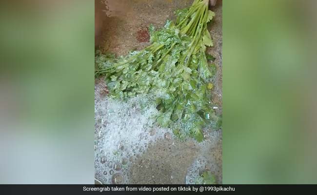 कोरोना के डर से लड़की ने साबुन से धोया धनिया, TikTok पर 4 करोड़ से ज्यादा बार देखा गया यह Video