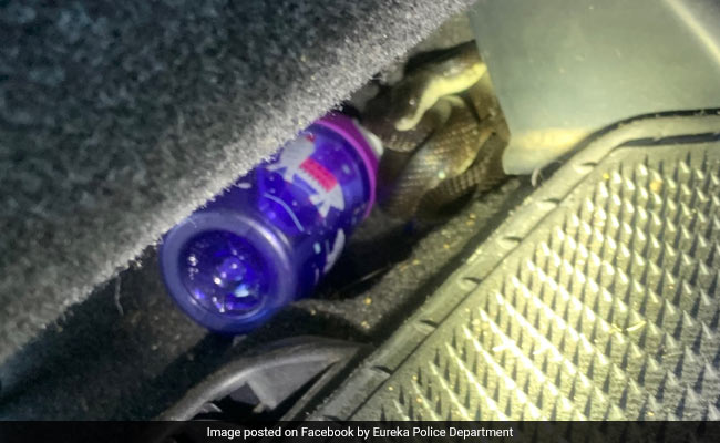 Driver Flees Car On Finding Snake, Then Calls Police "Hysterically"