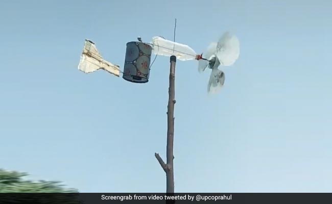 This <i>Desi "Jugaad"</i> To Keep Locusts Away Is Massively Viral. Watch