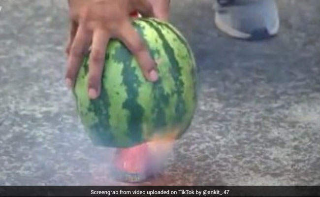 लड़के ने तरबूज रखकर जलाया अनार, जलते ही हुआ ऐसा... 1 करोड़ से ज़्यादा बार देखा गया Video