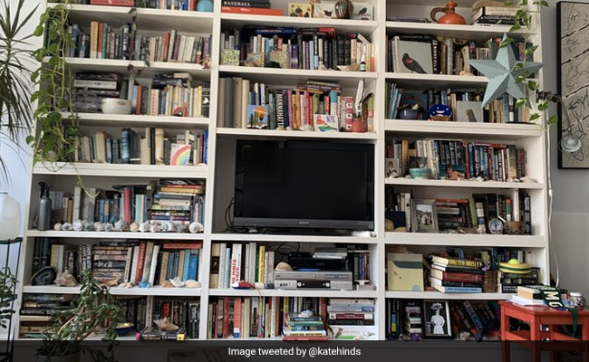 How Quickly Can You Find The Cat Hiding In This Viral Picture?