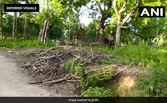 5 Terrorists Shot Dead In Jammu And Kashmir's Shopian, Operation Going On