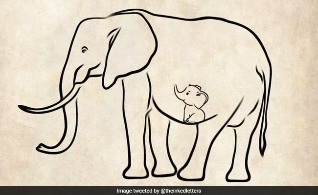 How Heartbroken Twitter Mourned Elephant That Ate Cracker-Filled Fruit