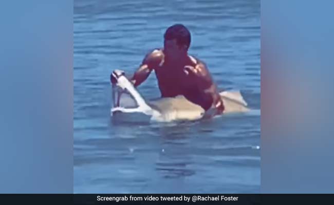 Man Grabs Shark In Ocean, Holds Its Jaws Open In "Crazy" Video