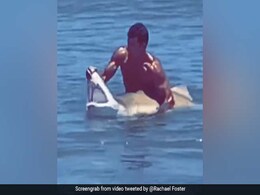 समुद्र में शख्स के हाथ में आई शार्क तो ऐसे जबड़ा पकड़कर खोल दिया मुंह और फिर... देखें Shocking Video समुद्र में शख्स के हाथ में आई शार्क तो ऐसे जबड़ा पकड़कर खोल दिया मुंह और फिर... देखें Shocking Video