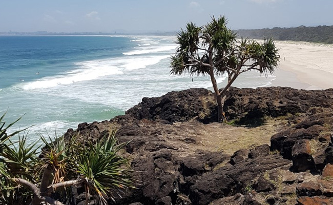 Man Dies After Shark Bites Off Leg At A Popular Beach In Australia