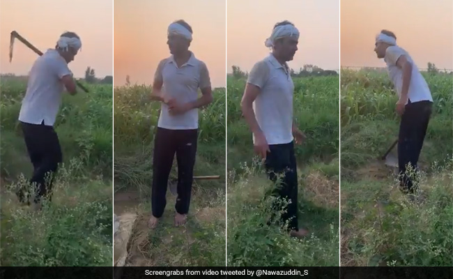 "Done For The Day": Nawazuddin Siddiqui Is Working In The Fields Of His Hometown