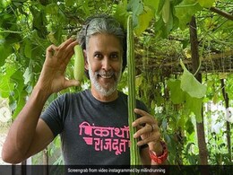 धर्मेंद्र की राह चले मिलिंद सोमन, घर में उगाई हरी-हरी सब्जियां, देखें Video धर्मेंद्र की राह चले मिलिंद सोमन, घर में उगाई हरी-हरी सब्जियां, देखें Video