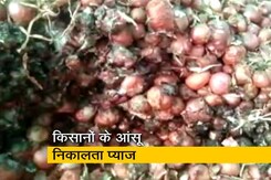 मध्य प्रदेश के किसानों के आंसू निकालता प्याज मध्य प्रदेश के किसानों के आंसू निकालता प्याज