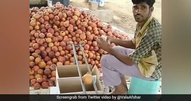 Man's Simple Hack To Sort Fruits By Size Garners Praise For Its Ingenuity