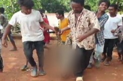 Leopard Beaten To Death In Assam, Paraded As Trophy On Camera Leopard Beaten To Death In Assam, Paraded As Trophy On Camera
