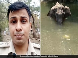 प्रेग्नेंट हथिनी के लिए फॉरेस्ट ऑफिसर ने लिखी दिल छू लेने वाली कविता, बोले- 'इंसान नहीं बच पाएगा, कोरोना आया है...' देखें Video प्रेग्नेंट हथिनी के लिए फॉरेस्ट ऑफिसर ने लिखी दिल छू लेने वाली कविता, बोले- 'इंसान नहीं बच पाएगा, कोरोना आया है...' देखें Video