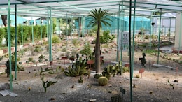Earth's Biodiversity Crisis: 1 Million Species Face Extinction