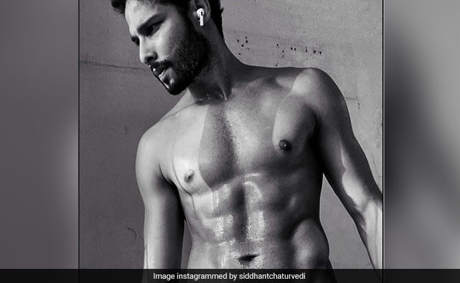 Siddhant Chaturvedi's "<i>Tera Bhai Bomb Hai</i>" Pic Is Winning The Internet