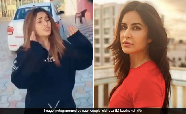 शहनाज गिल ने 'तीस मार खान' फिल्म में कैटरीना कैफ के सीन को किया रिक्रिएट, मजेदार Video हुआ वायरल