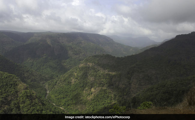 Maharashtra Reserves Forest For Elephants Who Came From Karnataka