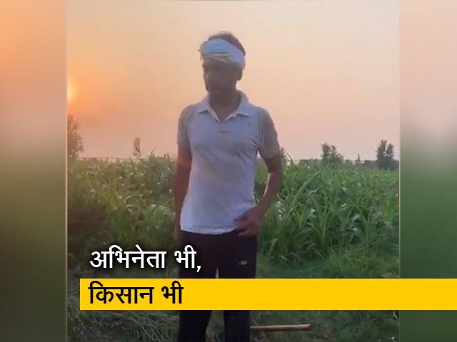 खेतों में पसीना बहा रहे हैं फिल्म स्टार नवाजुद्दीन सिद्दीकी