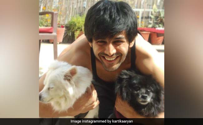 चीन में शुरू हुआ डॉग मीट फेस्टिवल तो कार्तिक आर्यन का यूं आया रिएक्शन