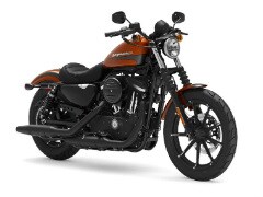 Harley-Davidson Looking For An Alliance With Indian Two-Wheeler Companies: Report