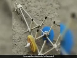 फसल बर्बाद करने के आरोप में टिड्डी से खेत पर चलवायें गए 'हल', देखें Viral Video फसल बर्बाद करने के आरोप में टिड्डी से खेत पर चलवायें गए 'हल', देखें Viral Video