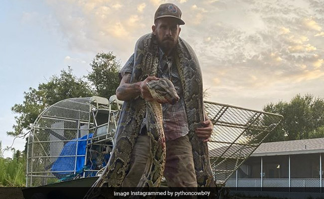 Snake Hunter Left Bleeding After Fight With 17-Foot Python