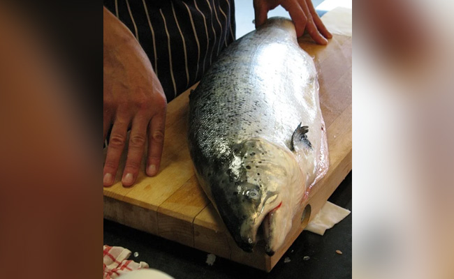 Norwegian Salmon Not Source Of Virus Outbreak In Beijing Market: Oslo