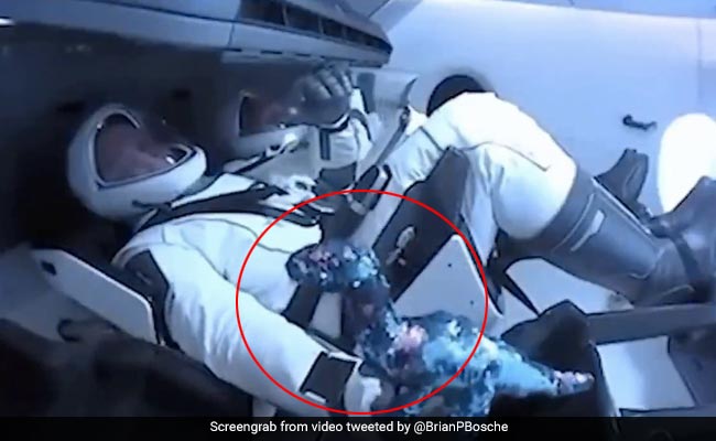 Why A Shiny Dinosaur Went To Space With Astronauts On SpaceX's Historic Launch