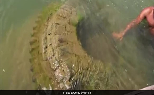 500-Year-Old Temple Submerged In Odisha River Spotted After 11 Years