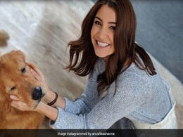 "It's The Need Of The Hour": Anushka Sharma Calls For Stricter Law Against Animal Cruelty "It's The Need Of The Hour": Anushka Sharma Calls For Stricter Law Against Animal Cruelty