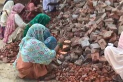 Probe Into Fake Registration Of Workers In Punjab For Aid Probe Into Fake Registration Of Workers In Punjab For Aid