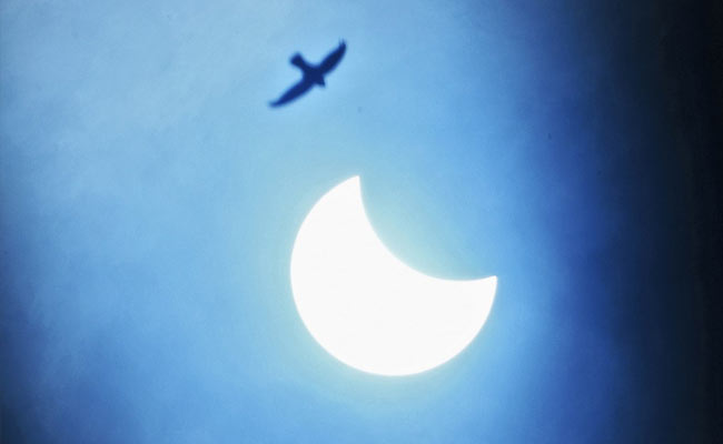 Skywatchers Post Pics On Social Media As Solar Eclipse Becomes Visible