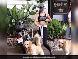 डॉगी को सैर कराने निकली थीं अर्जुन रामपाल की गर्लफ्रेंड, तभी गली के डॉगी ने कर दिया अटैक और फिर...देखें Video डॉगी को सैर कराने निकली थीं अर्जुन रामपाल की गर्लफ्रेंड, तभी गली के डॉगी ने कर दिया अटैक और फिर...देखें Video