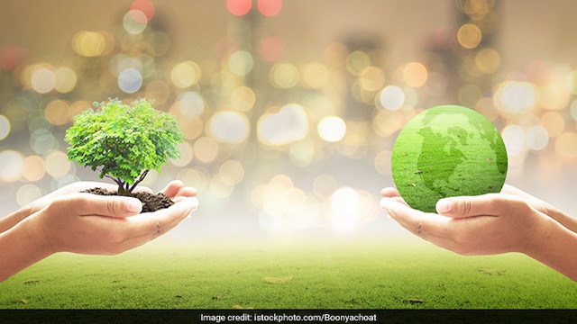 World Environment Day 2020 focuses on the importance of reviving nature