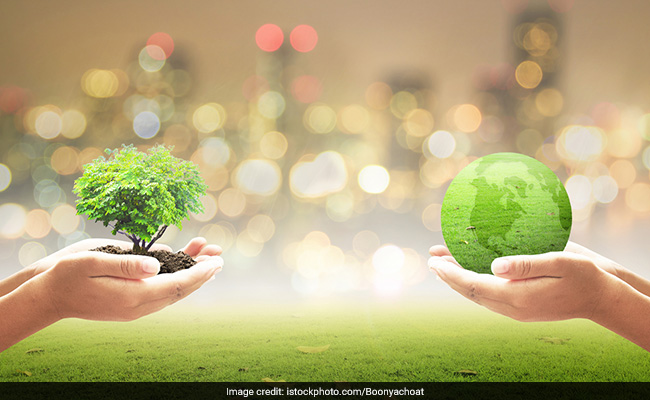 World Environment Day 2020 focuses on the importance of reviving nature