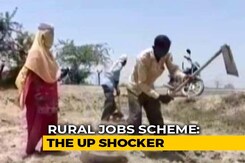 Jobless UP Graduates Who Earned "Decent Money" Now Look For MGNREGA Work Jobless UP Graduates Who Earned "Decent Money" Now Look For MGNREGA Work