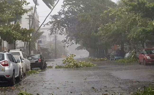 Man Dies As Electric Pole Falls On Him In Maharashtra's Alibaug During Cyclone Nisarga