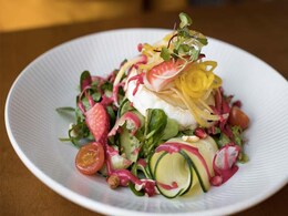 Is The Intake Of Raw Salads Safe During COVID-19? Is The Intake Of Raw Salads Safe During COVID-19?