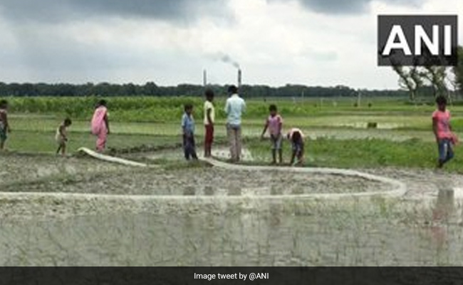 Schools Shut And No Midday Meals, Muzaffarpur Children Return To Fields