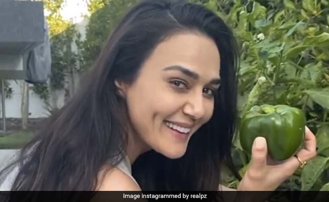 Preity Zinta's Mom Helped Her With A Kitchen Garden. See Her "<i>Ghar Ki Kheti</i>"